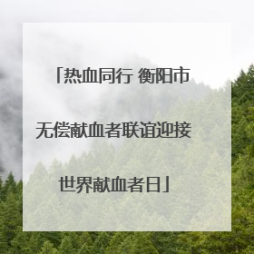 热血同行 衡阳市无偿献血者联谊迎接世界献血者日
