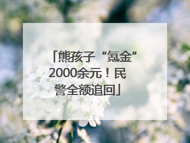 熊孩子“氪金”2000余元！民警全额追回