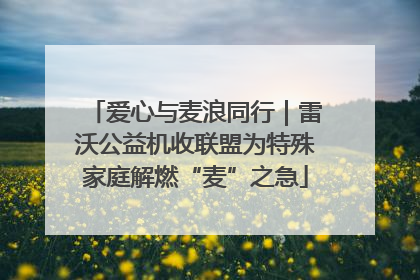 爱心与麦浪同行｜雷沃公益机收联盟为特殊家庭解燃“麦”之急