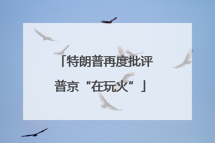 特朗普再度批评普京“在玩火”