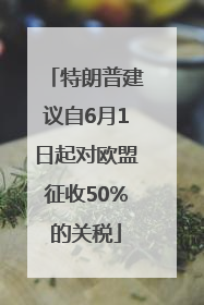 特朗普建议自6月1日起对欧盟征收50%的关税