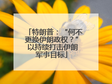 特朗普：“何不更换伊朗政权？” 以持续打击伊朗军事目标