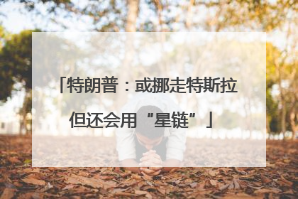 特朗普：或挪走特斯拉 但还会用“星链”