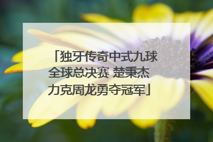 独牙传奇中式九球全球总决赛 楚秉杰力克周龙勇夺冠军