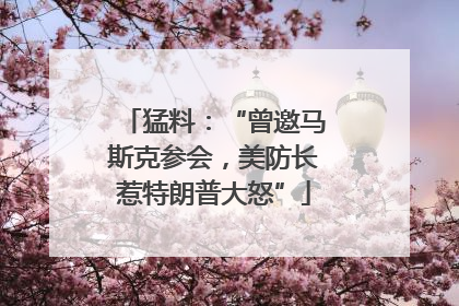 猛料：“曾邀马斯克参会，美防长惹特朗普大怒”