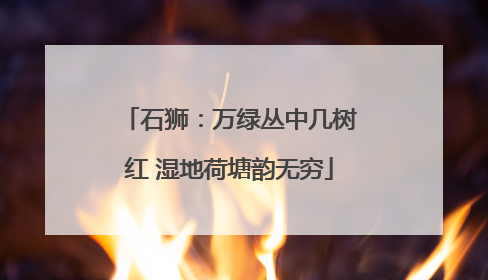 石狮：万绿丛中几树红 湿地荷塘韵无穷