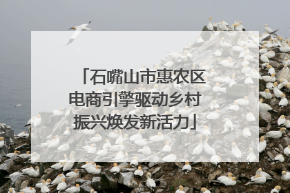 石嘴山市惠农区电商引擎驱动乡村振兴焕发新活力