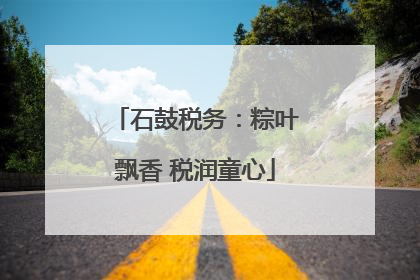 石鼓税务：粽叶飘香 税润童心