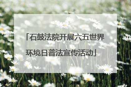 石鼓法院开展六五世界环境日普法宣传活动