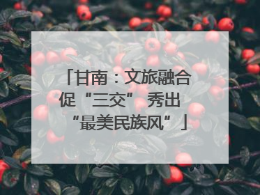 甘南：文旅融合促“三交” 秀出“最美民族风”