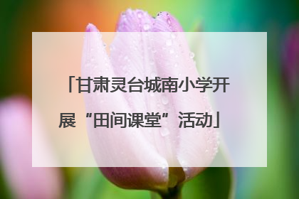 甘肃灵台城南小学开展“田间课堂”活动