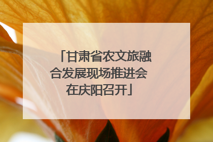 甘肃省农文旅融合发展现场推进会在庆阳召开