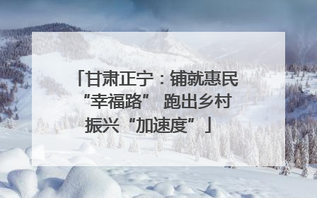 甘肃正宁：铺就惠民“幸福路” 跑出乡村振兴“加速度”