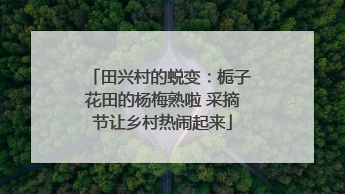 田兴村的蜕变：栀子花田的杨梅熟啦 采摘节让乡村热闹起来