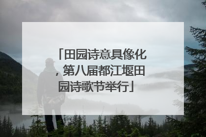 田园诗意具像化，第八届都江堰田园诗歌节举行