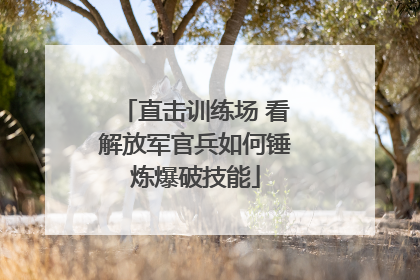 直击训练场 看解放军官兵如何锤炼爆破技能