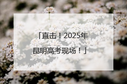 直击！2025年昆明高考现场！