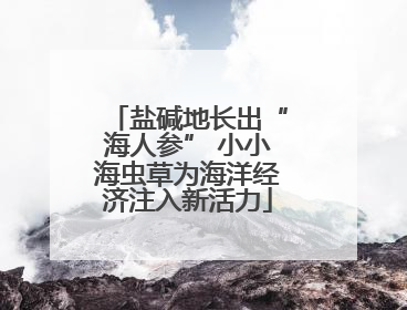 盐碱地长出“海人参” 小小海虫草为海洋经济注入新活力