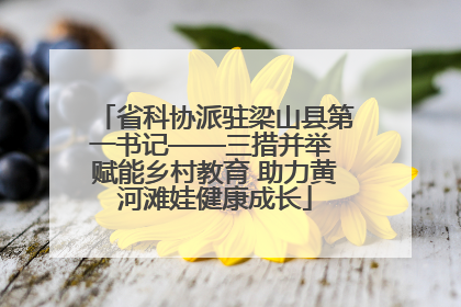 省科协派驻梁山县第一书记——三措并举 赋能乡村教育 助力黄河滩娃健康成长