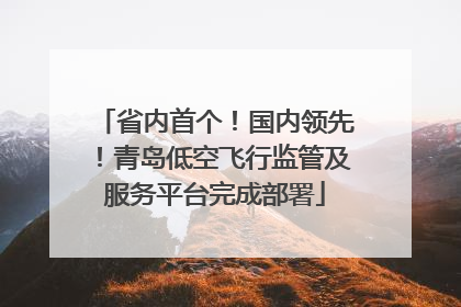 省内首个！国内领先！青岛低空飞行监管及服务平台完成部署
