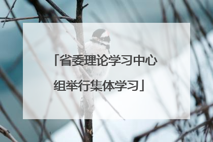 省委理论学习中心组举行集体学习