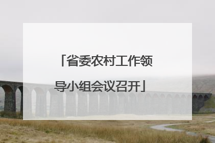 省委农村工作领导小组会议召开