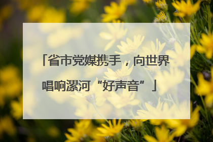 省市党媒携手，向世界唱响漯河“好声音”