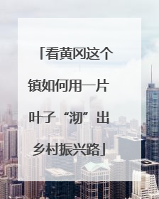 看黄冈这个镇如何用一片叶子“沏”出乡村振兴路