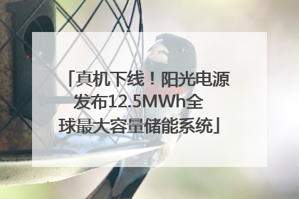 真机下线！阳光电源发布12.5MWh全球最大容量储能系统