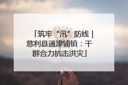 筑牢“汛”防线｜慈利县通津铺镇：干群合力抗击洪灾