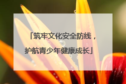 筑牢文化安全防线，护航青少年健康成长