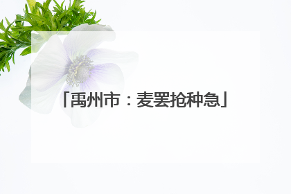 禹州市：麦罢抢种急