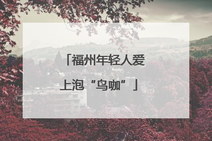 福州年轻人爱上泡“鸟咖”