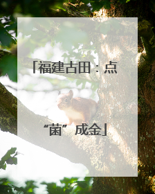 福建古田：点“菌”成金