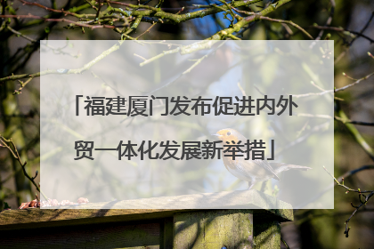 福建厦门发布促进内外贸一体化发展新举措