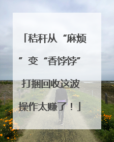 秸秆从“麻烦”变“香饽饽” 打捆回收这波操作太赚了！