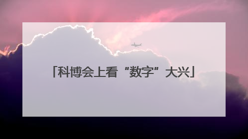 科博会上看“数字”大兴