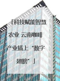 科技赋能智慧农业 云南咖啡产业插上“数字翅膀”