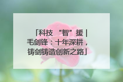 科技 “智”援｜毛剑锋：十年深耕，铸剑铸造创新之路
