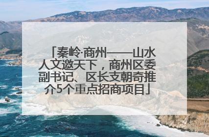 秦岭·商州——山水人文邀天下，商州区委副书记、区长支朝奇推介5个重点招商项目