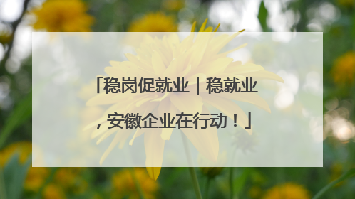 稳岗促就业｜稳就业，安徽企业在行动！