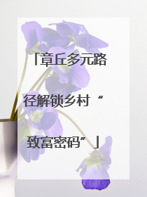 章丘多元路径解锁乡村“致富密码”