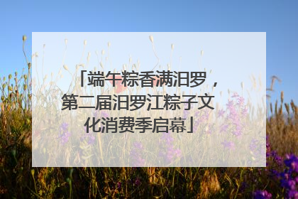 端午粽香满汨罗，第二届汨罗江粽子文化消费季启幕