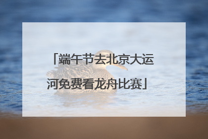 端午节去北京大运河免费看龙舟比赛