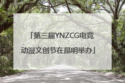 第三届YNZCG电竞动漫文创节在昆明举办