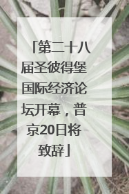 第二十八届圣彼得堡国际经济论坛开幕，普京20日将致辞