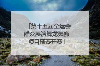 第十五届全运会群众展演舞龙舞狮项目预赛开赛