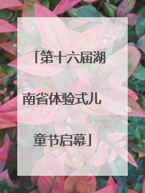 第十六届湖南省体验式儿童节启幕