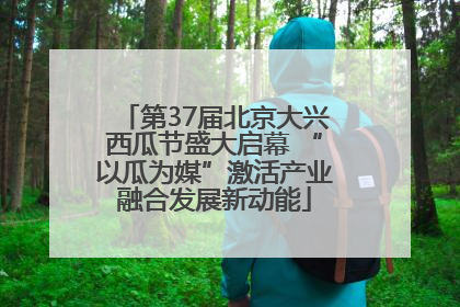 第37届北京大兴西瓜节盛大启幕 “以瓜为媒”激活产业融合发展新动能