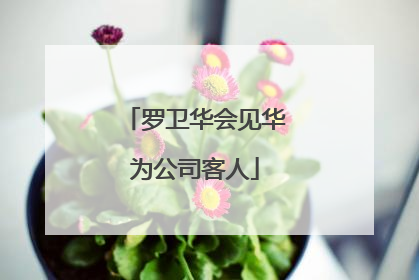 罗卫华会见华为公司客人